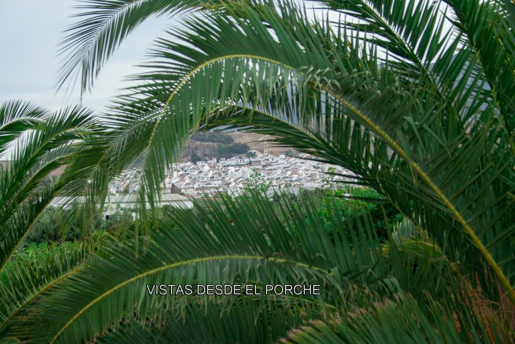 ארדאלס Finca Villa Rey מראה חיצוני תמונה